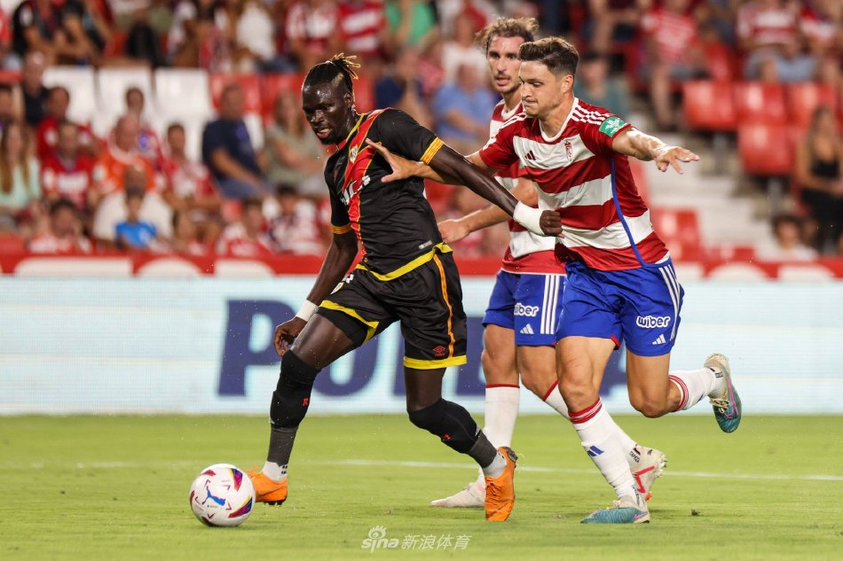 也为后辈树 也为后辈树